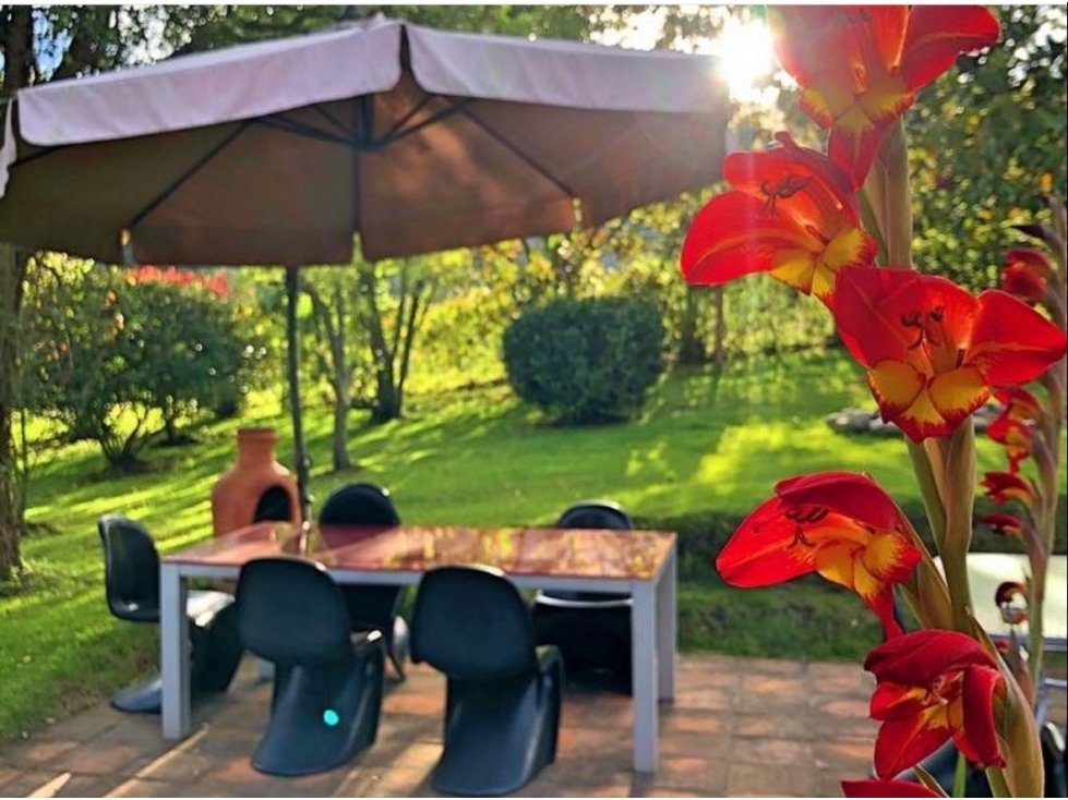 Vendo o arriendo finca en Tabio - 1