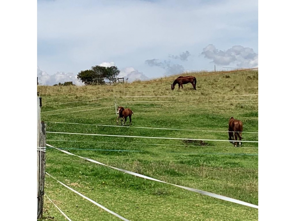 Venta Lote Chia-yerbabuena - 1
