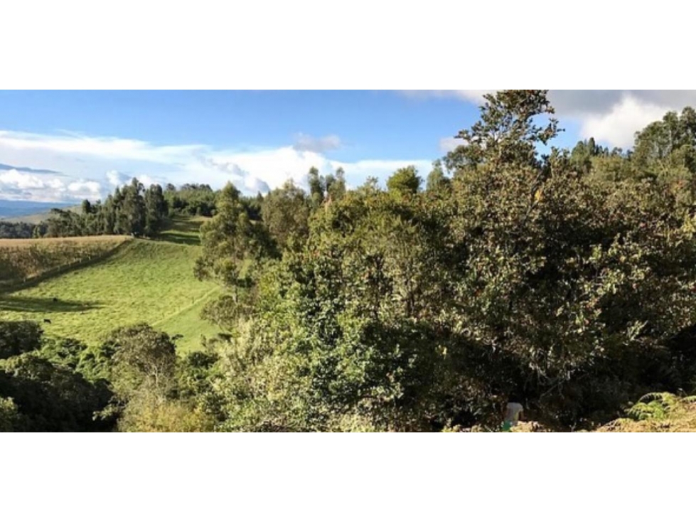Venta LOTE Guasca - 2