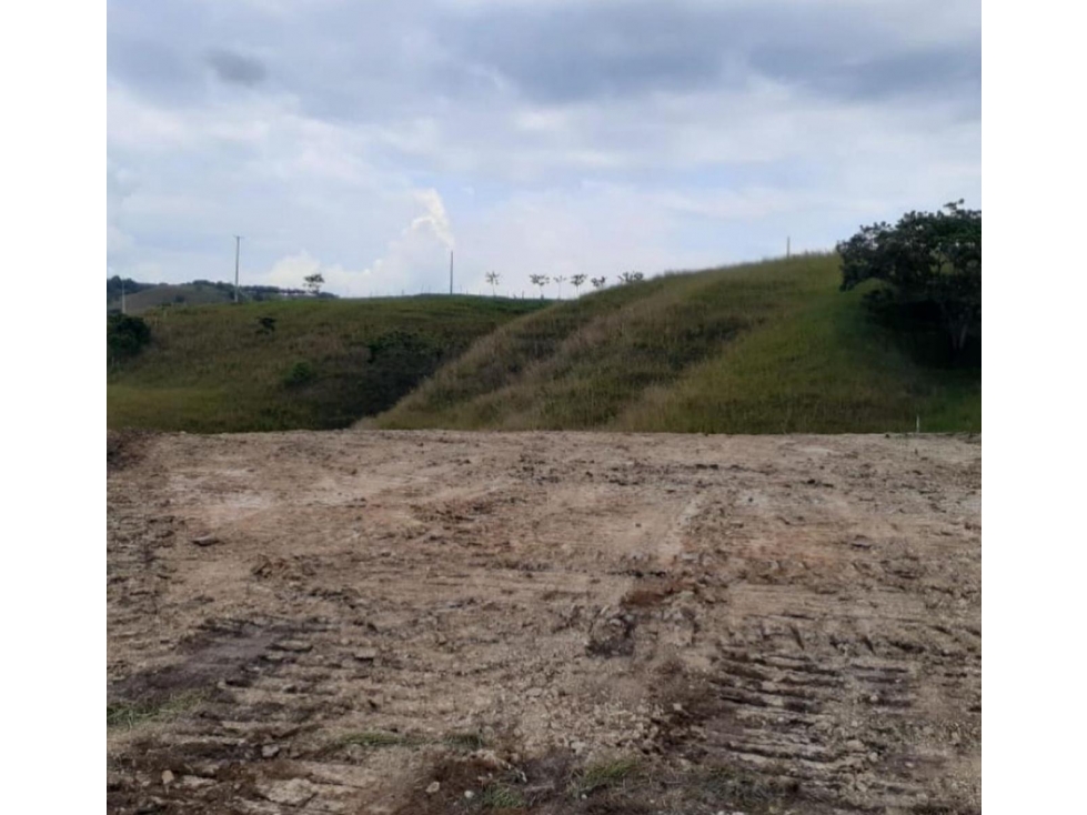 Venta Habitar una hecta rea Cerritos Pereira - 2
