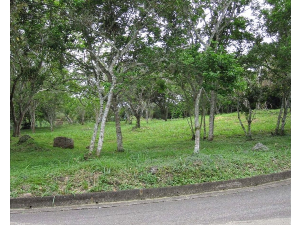Vendo Lote en Payande - 2