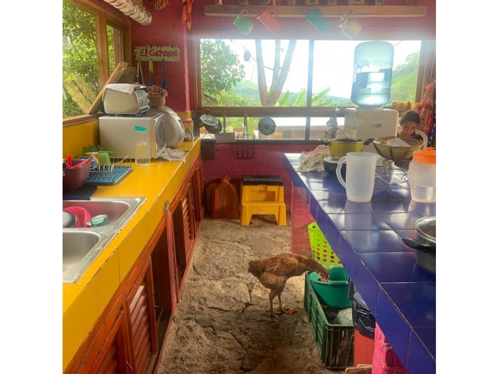 Vendo o Arriendo Casa en Cachipay — foto 2