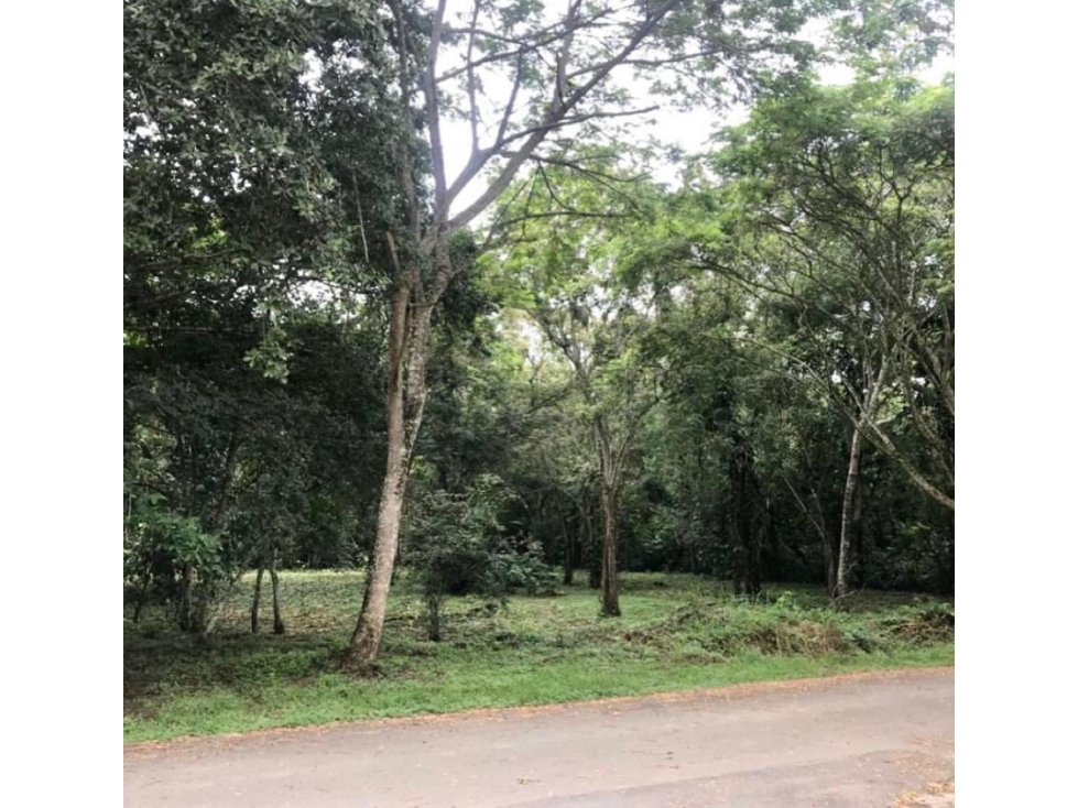 Venta Lote Mesa de Yeguas - 2