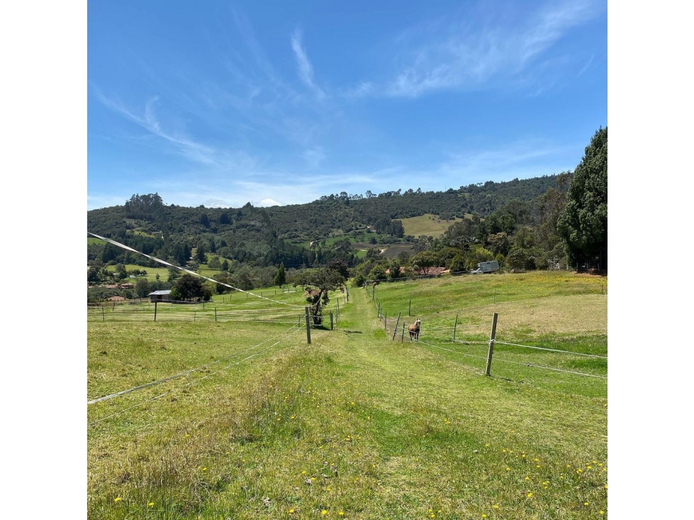 Venta Lote Chia-yerbabuena - 2