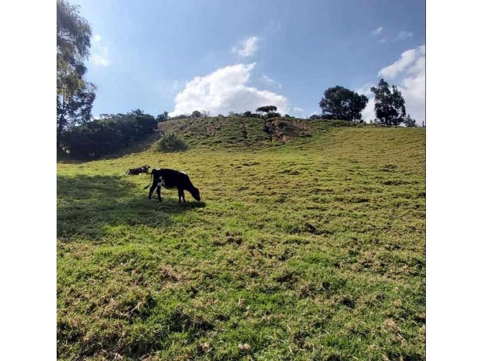 Vendo lote en Rio Frio - 3