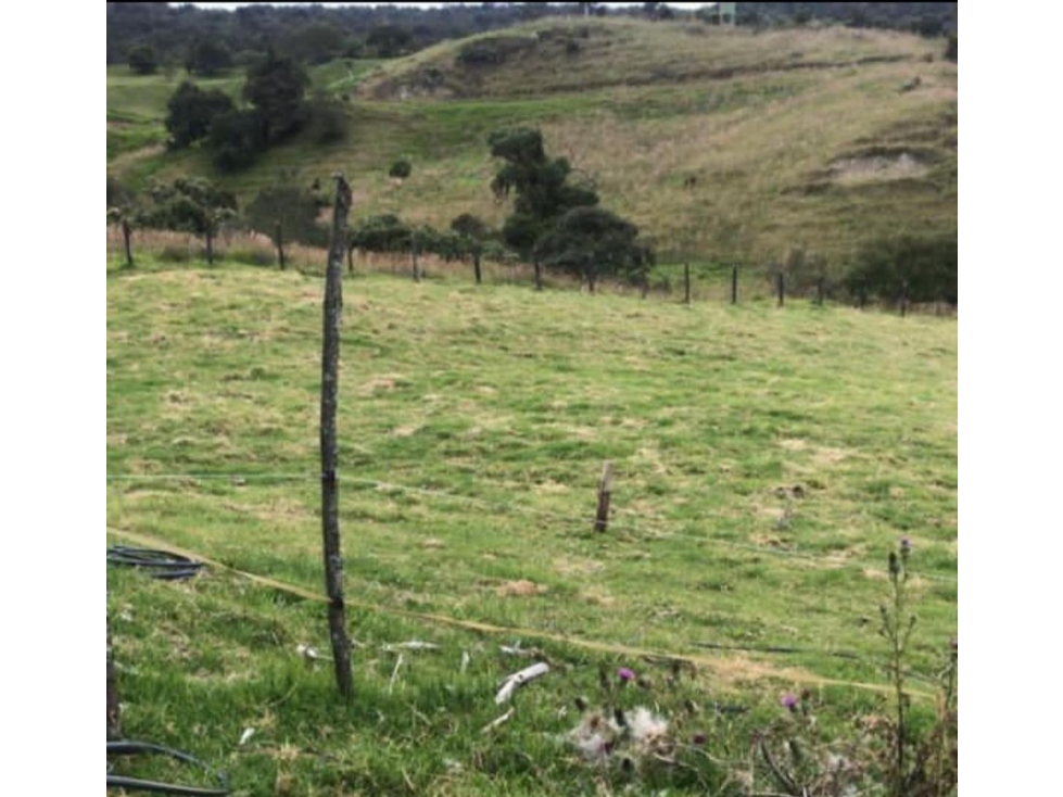 Venta LOTE La Calera - 3