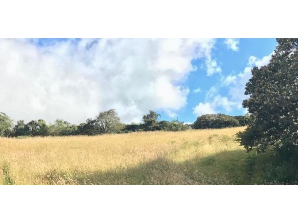 Venta LOTE Guasca - 3