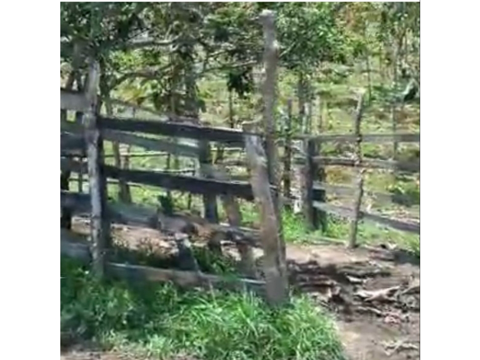 Vendo Lote en melgar - 3