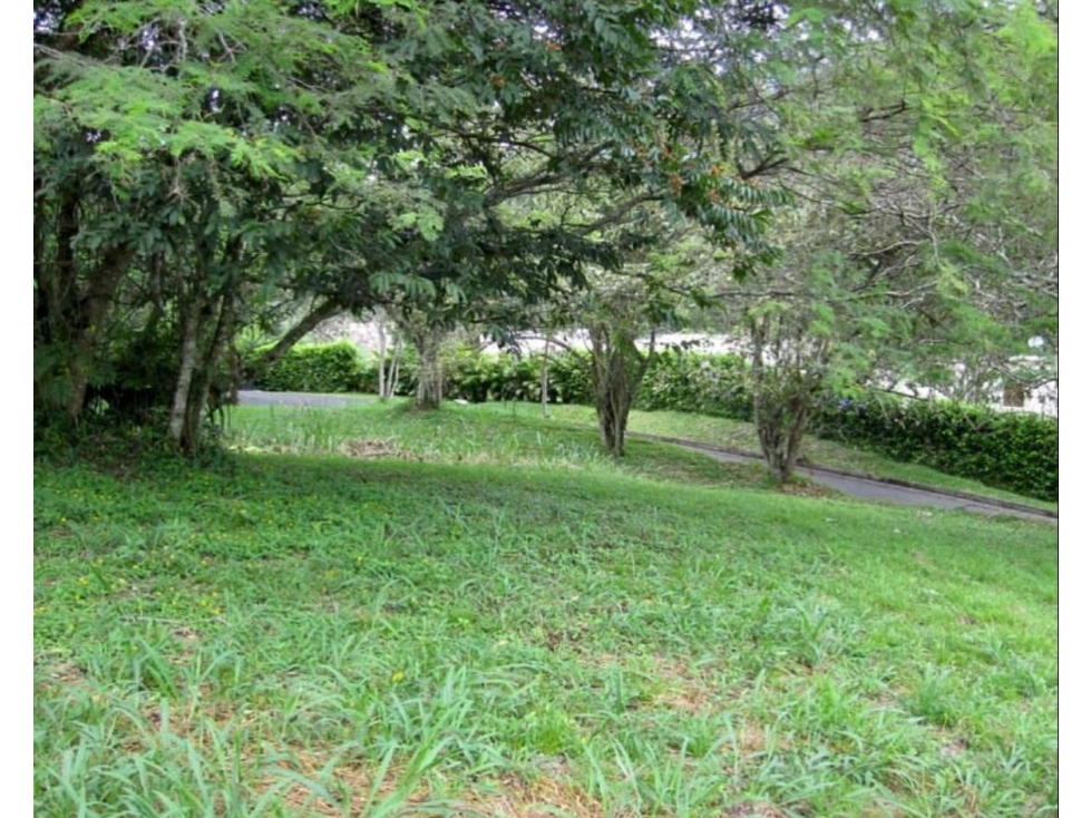 Vendo Lote en Payande - 3