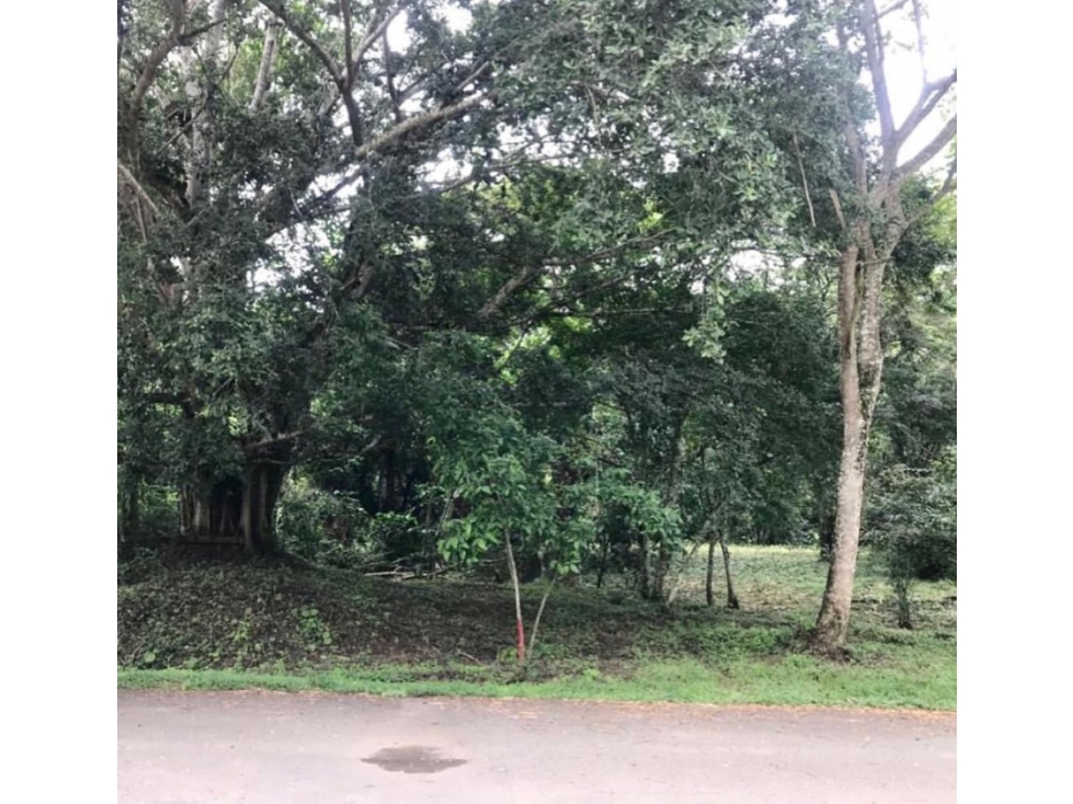 Venta Lote Mesa de Yeguas - 3
