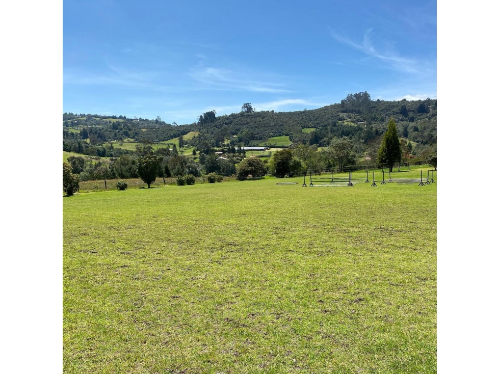 Venta Lote Chia-yerbabuena - 3