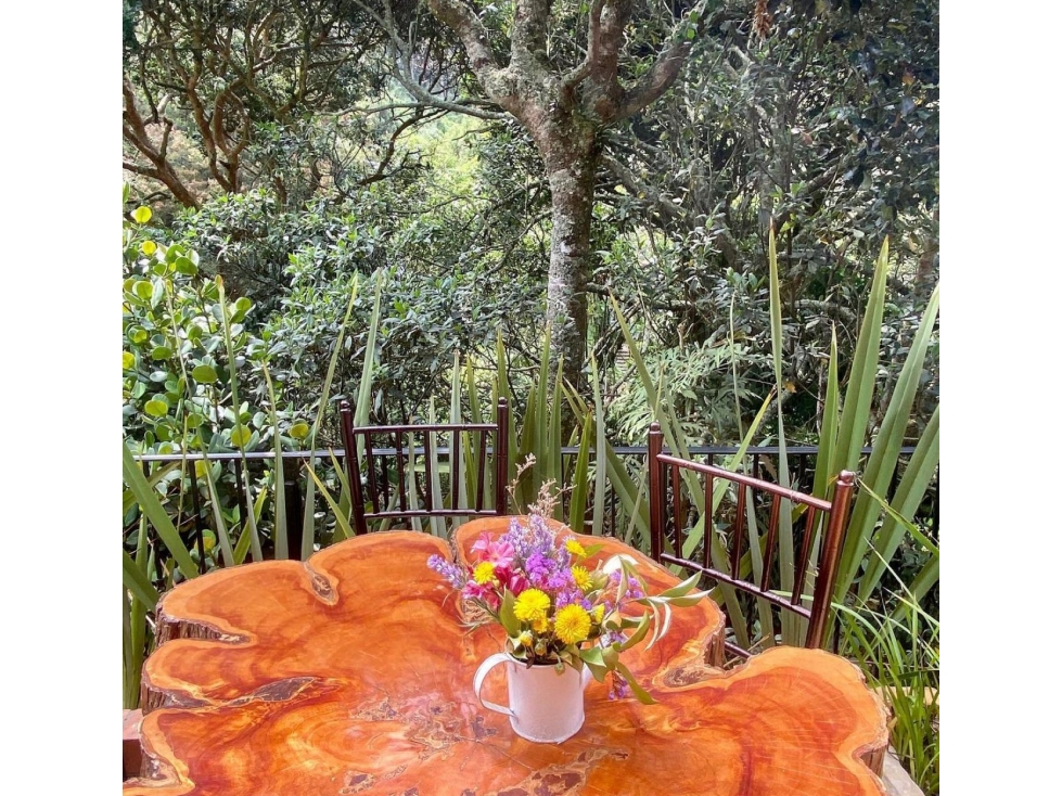 Venta / Arriendo Casa Floresta de La Sabana - 4