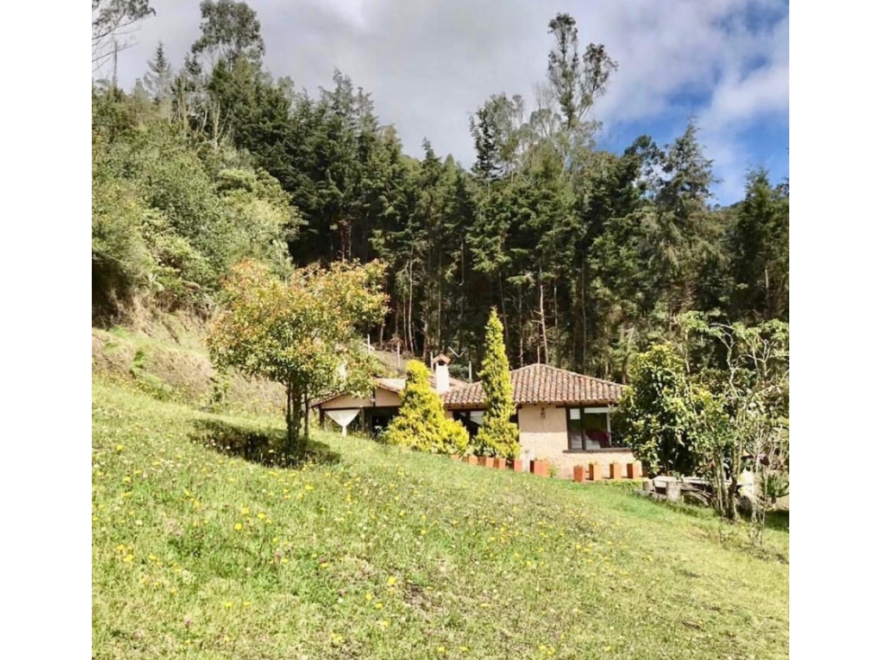 Venta Finca Chia-yerbabuena - 3
