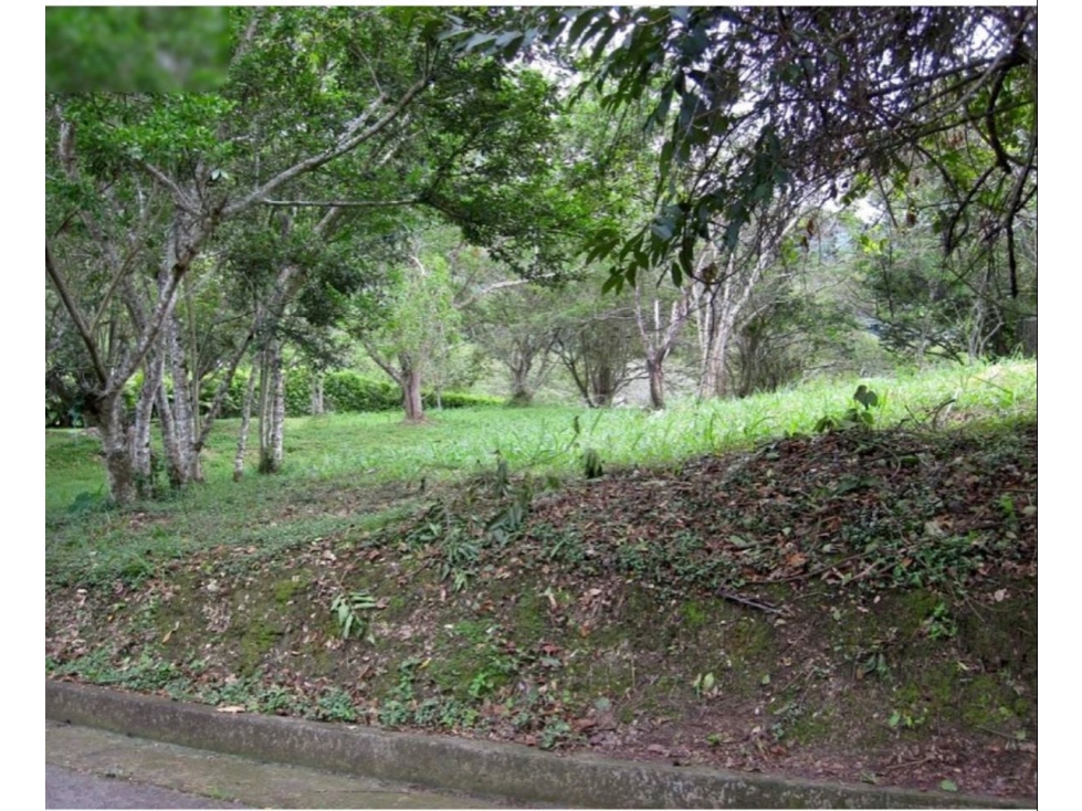 Vendo Lote en Payande - 4