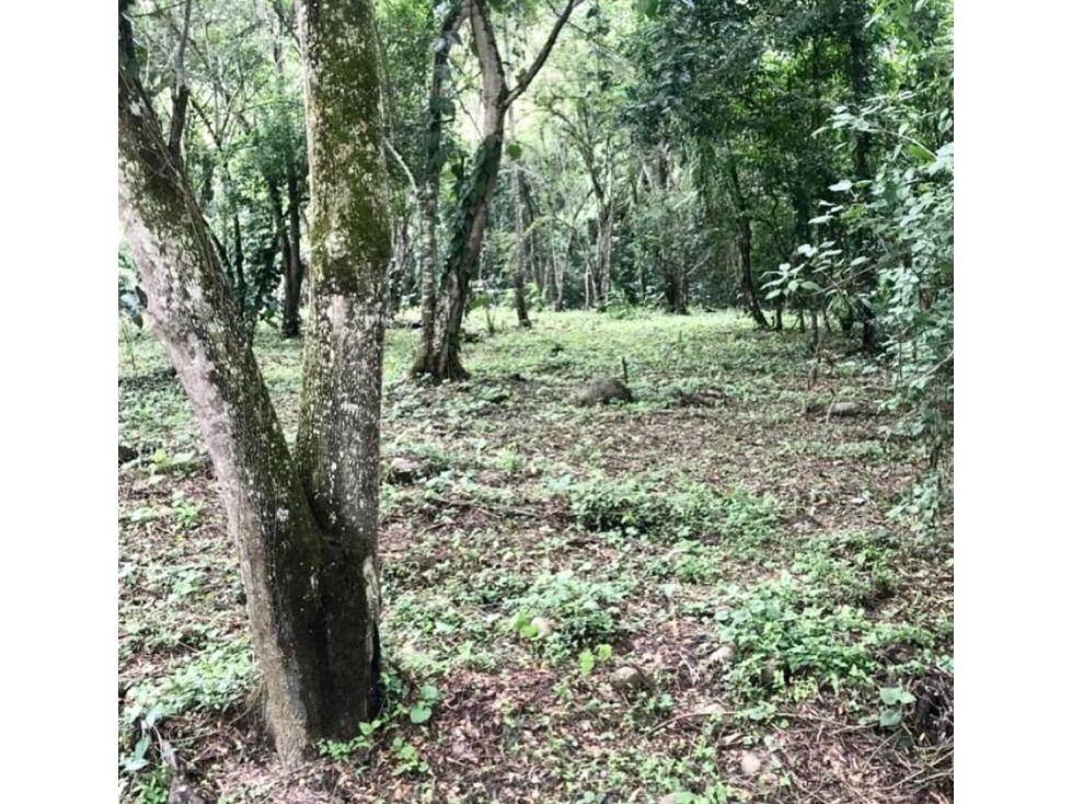 Venta Lote Mesa de Yeguas - 4