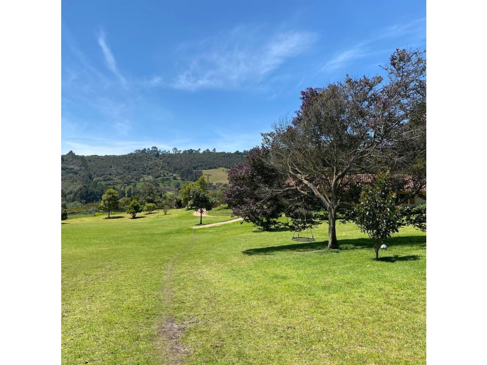 Venta Lote Chia-yerbabuena - 4