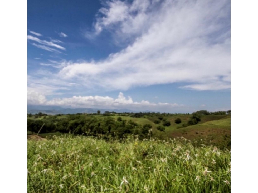 Venta Habitar una hecta rea Cerritos Pereira - 5