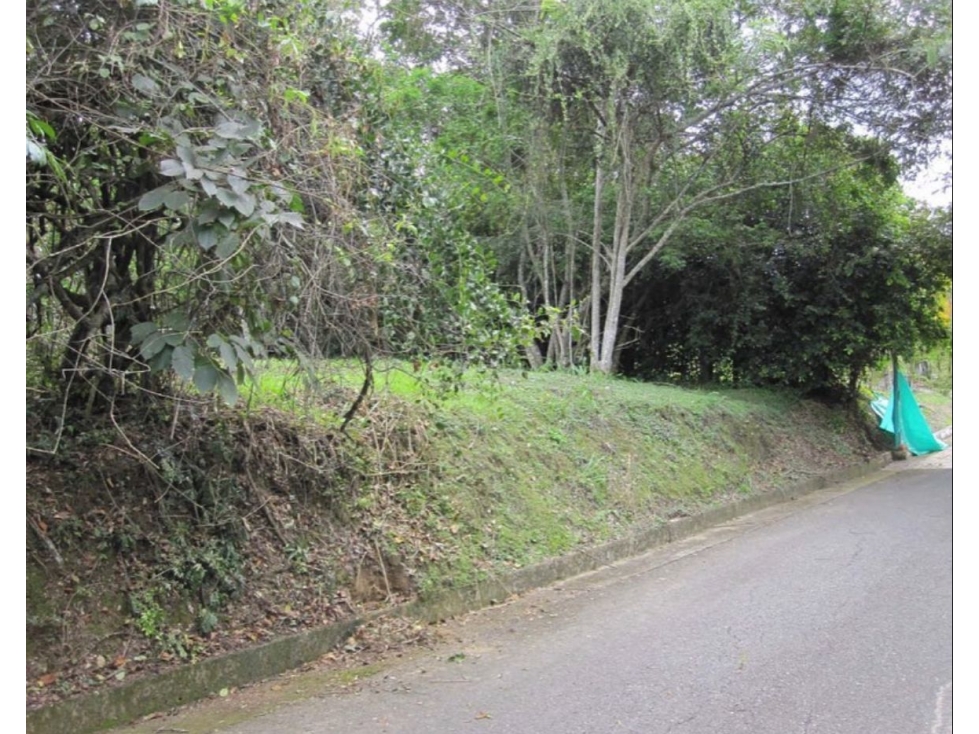Vendo Lote en Payande - 5