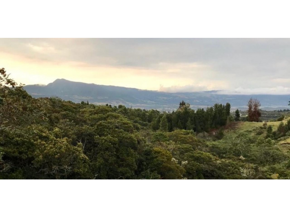 Venta LOTE Guasca - 6