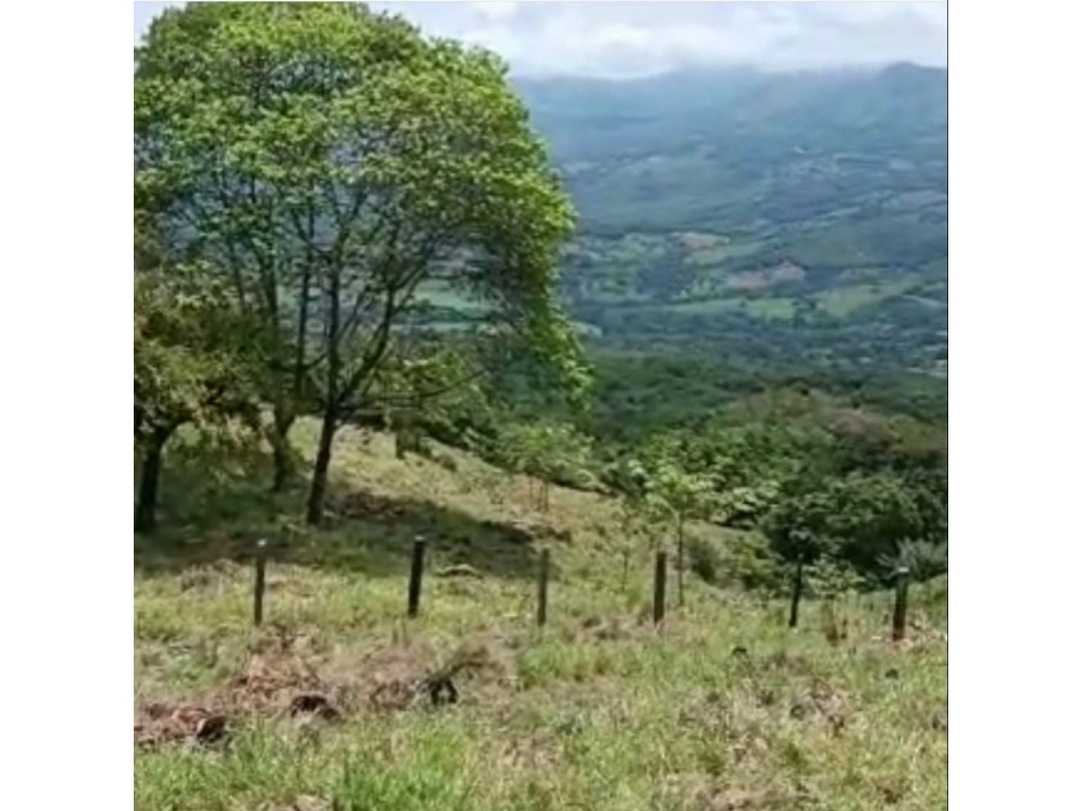 Vendo Lote en melgar - 6
