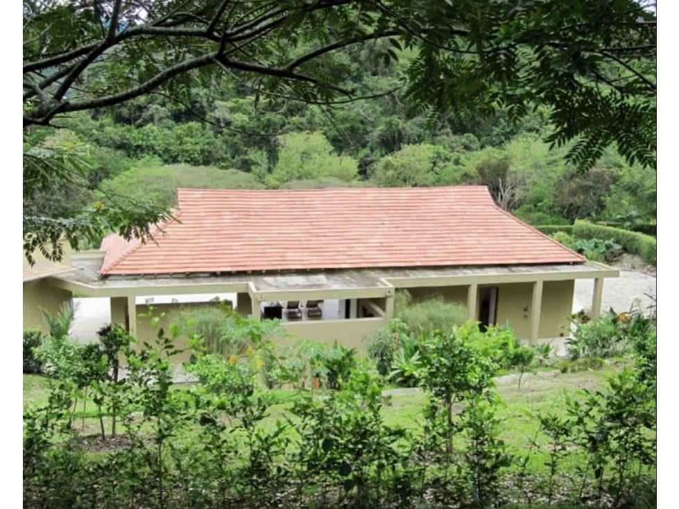 Vendo Lote en Payande - 6