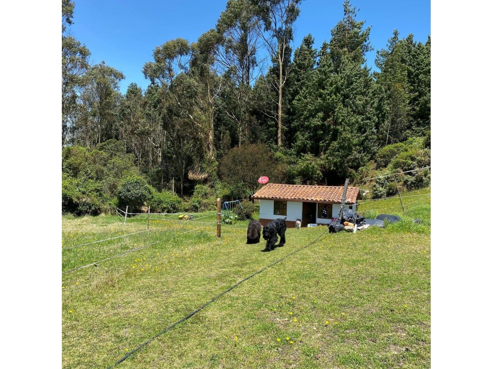 Venta Lote Chia-yerbabuena - 6