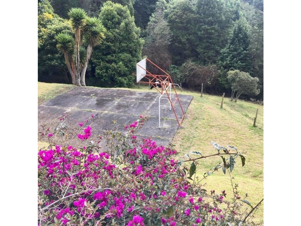Vendo finca en Tabio-Rio Frio - 6
