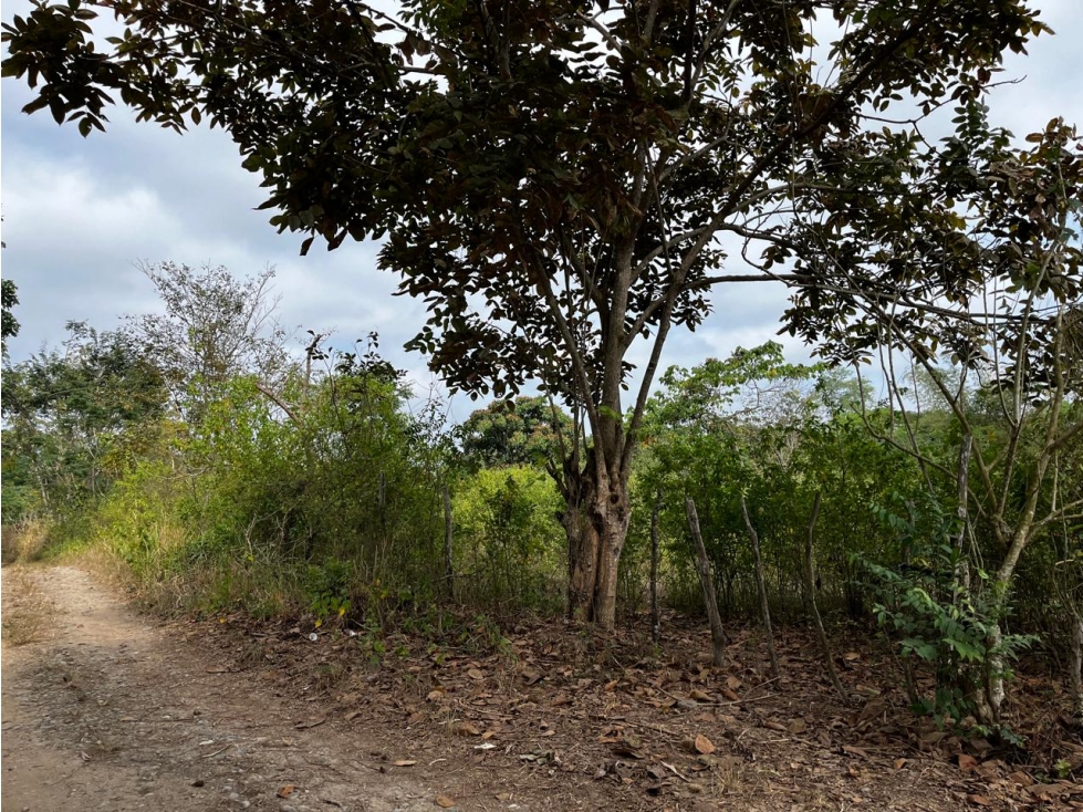 Venta de Terreno, Santa Rosa, Sector Panamericana,1172m² - 4