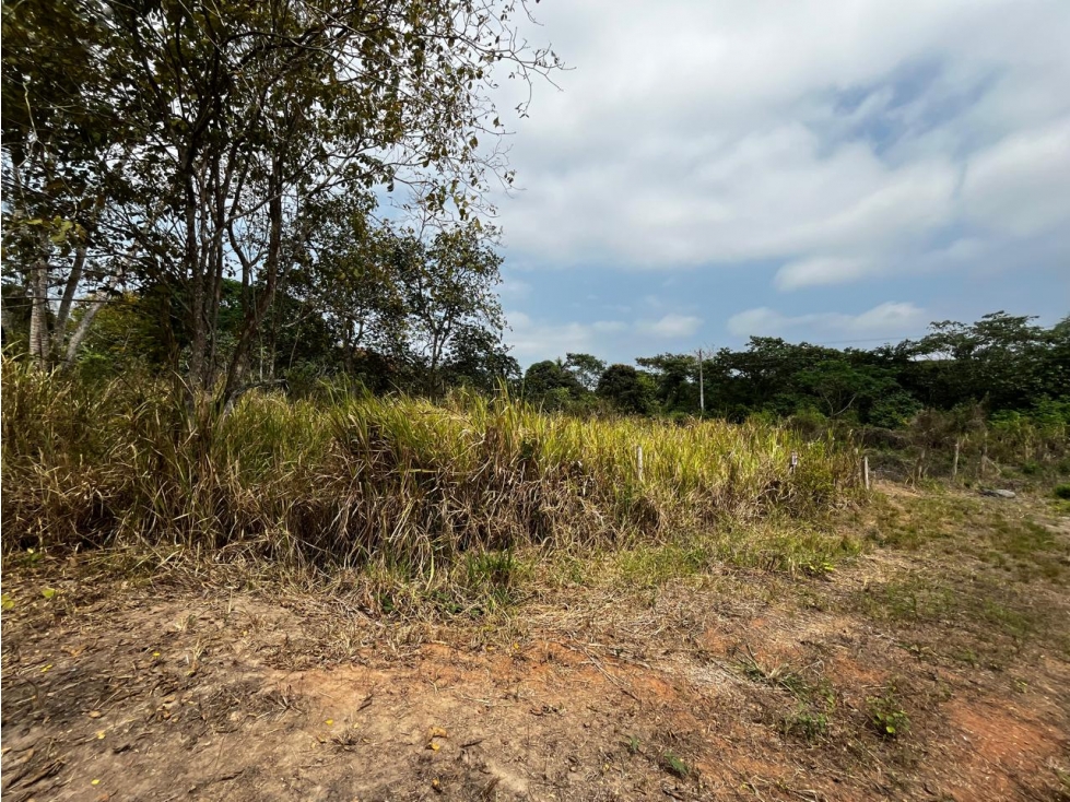 Venta de Terreno, Santa Rosa, Sector Panamericana,1172m² - 5