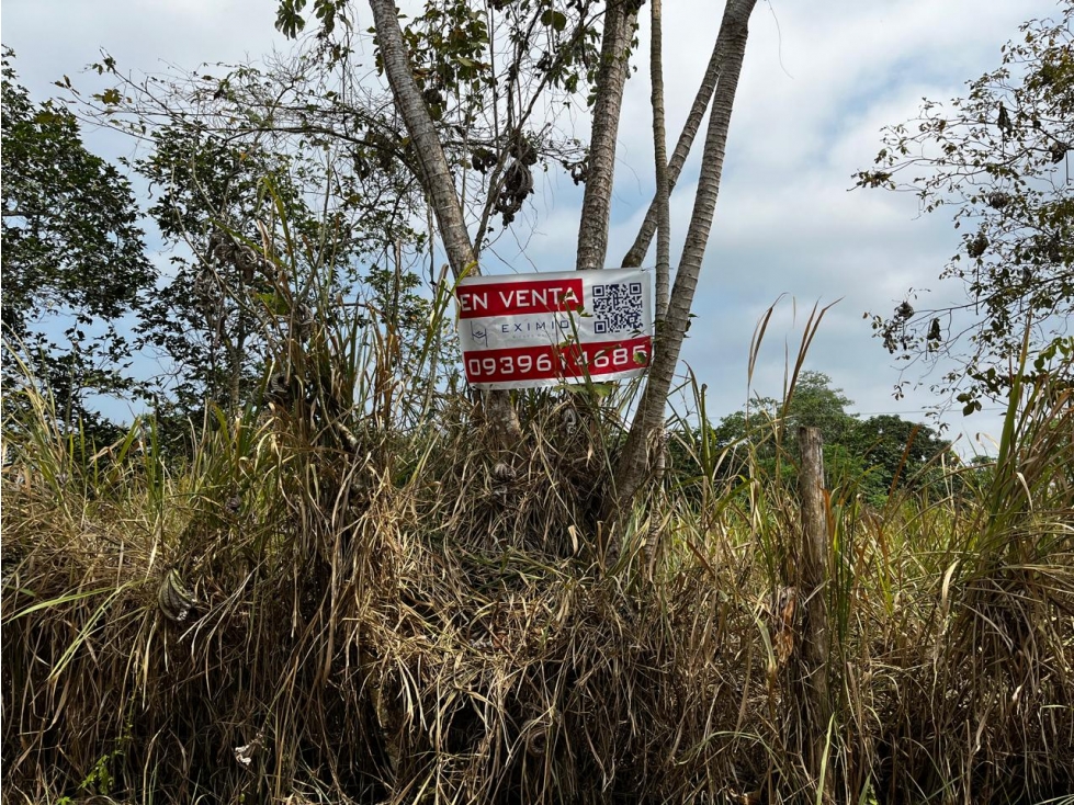 Venta de Terreno, Santa Rosa, Sector Panamericana,1172m² - 2