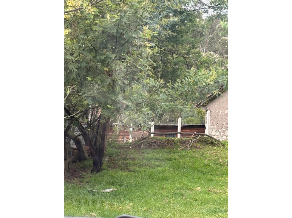 Venta de Terreno con Construcción, Llatcon, Nulti 4526,9 m² - 1