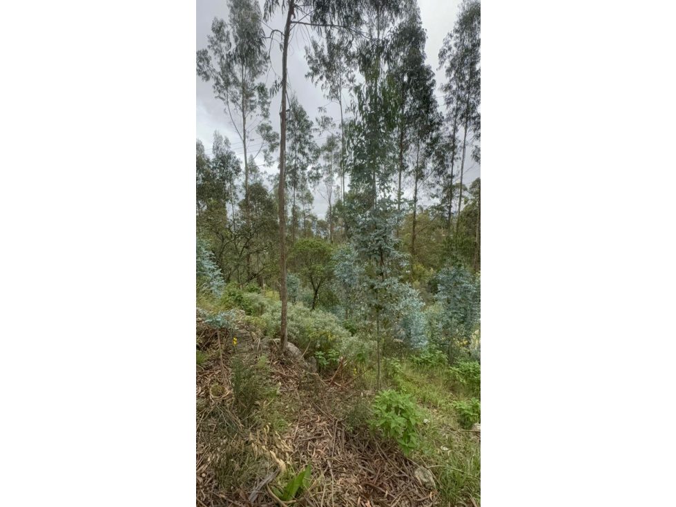 Venta de Terreno con Construcción, Llatcon, Nulti 4526,9 m² - 4