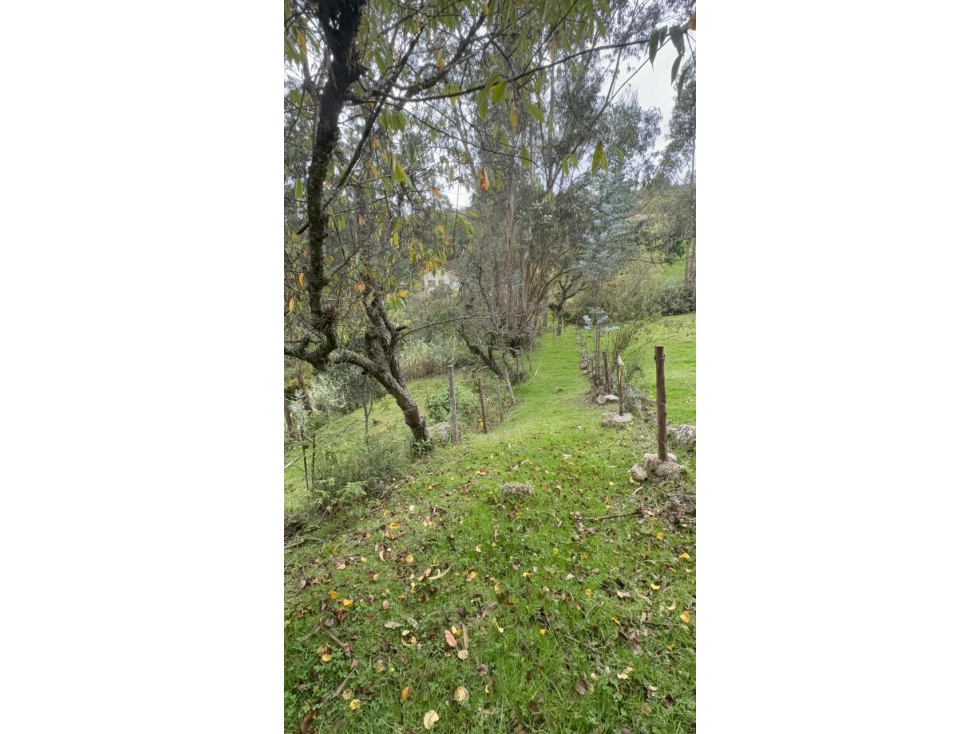 Venta de Terreno con Construcción, Llatcon, Nulti 4526,9 m² - 5