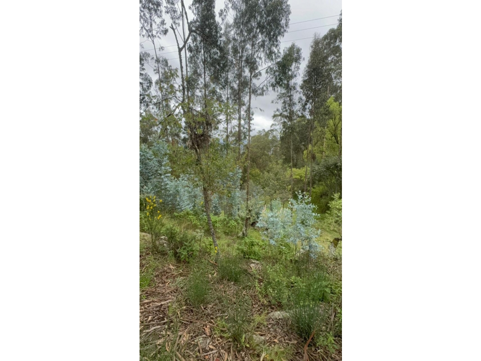 Venta de Terreno con Construcción, Llatcon, Nulti 4526,9 m² - 6