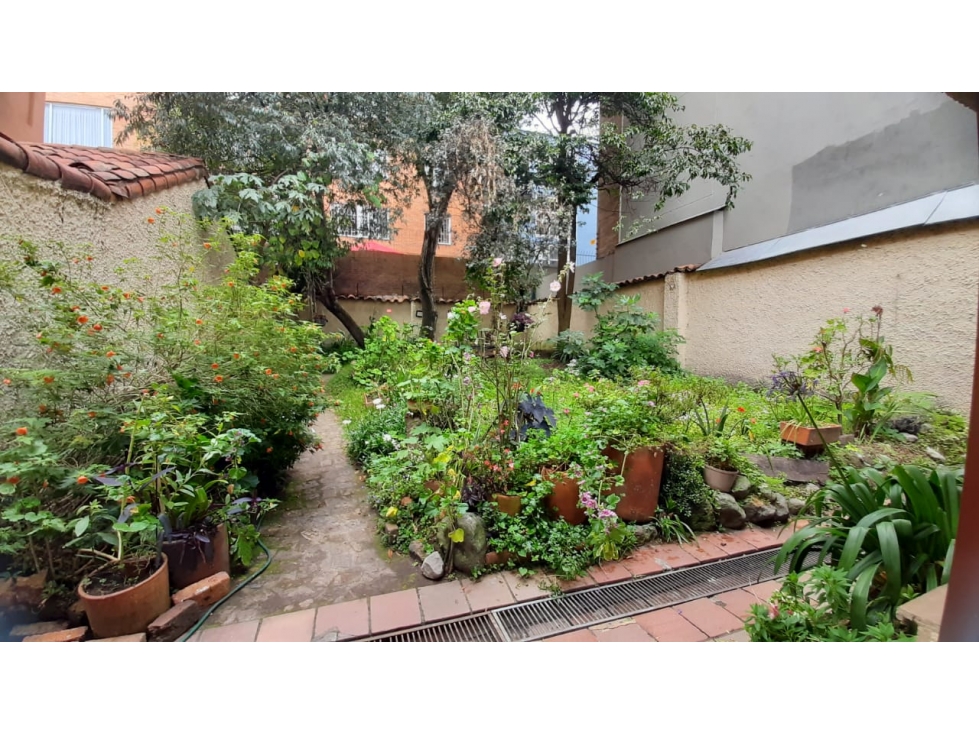 Amplia casa con jardín para arriendo en Santa Ana Occidental — foto 4