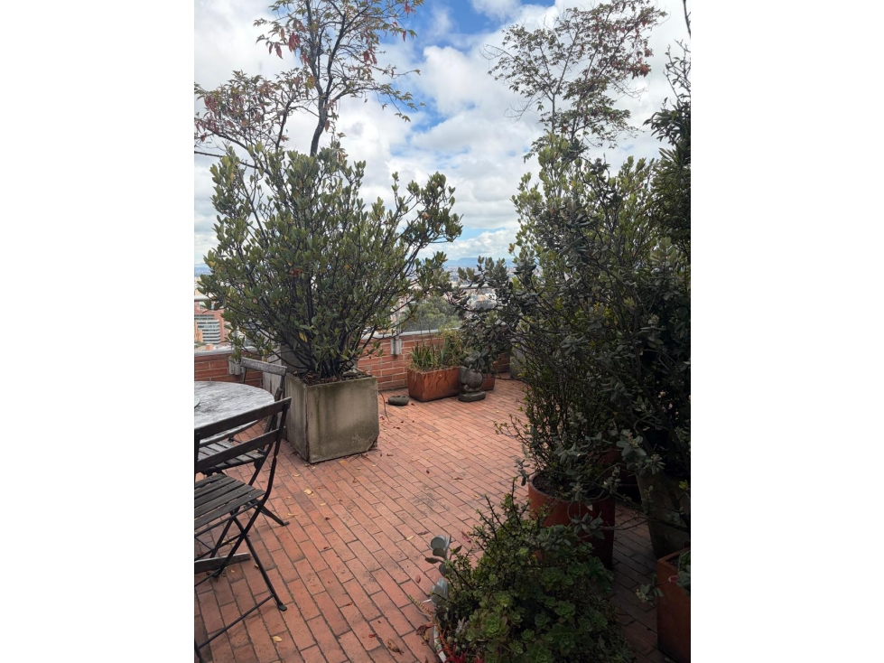 Apartamento para arriendo en Rosales — foto 6