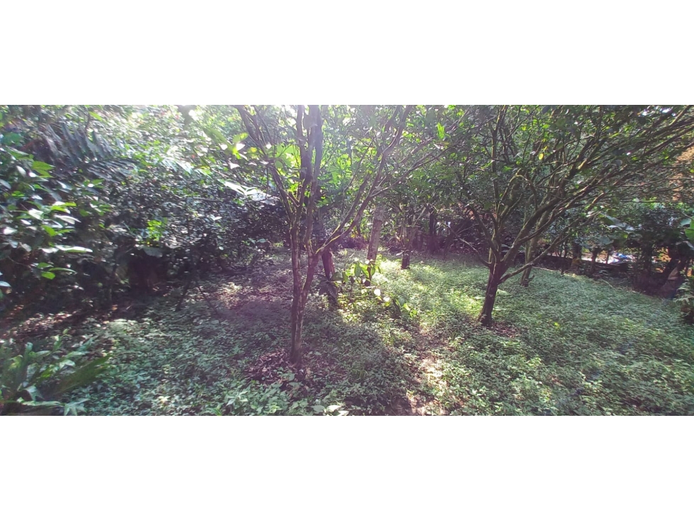 Venta de Lote urbano en La Vega Cundinamarca - 2