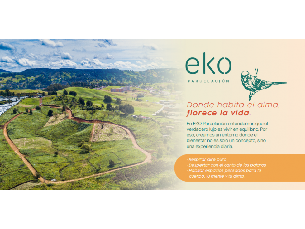 Lotes en venta proyecto eko parcelación en San Pedro de los Milagros