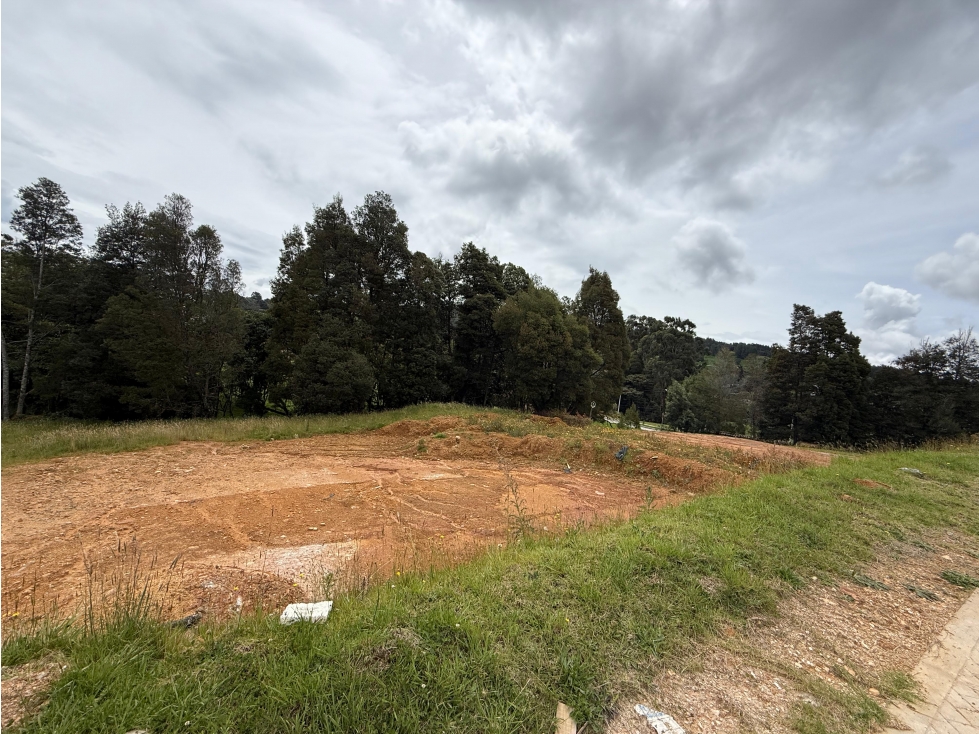 Lotes en venta parcelación Tramonti sector Alto de Palmas — foto 2