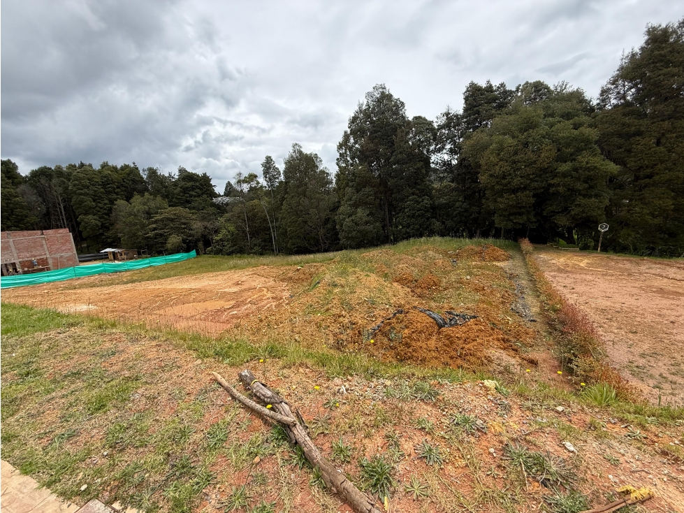 Lotes en venta parcelación Tramonti sector Alto de Palmas — foto 4
