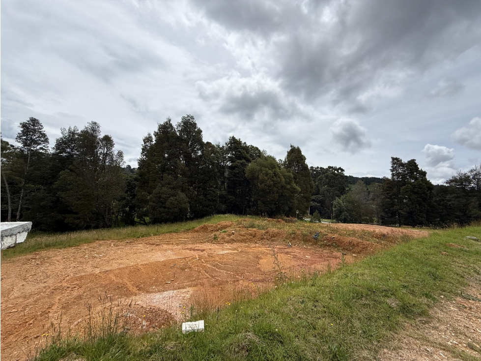 Lotes en venta parcelación Tramonti sector Alto de Palmas — foto 3