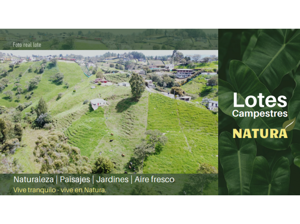 Venta de lotes en la vía Medellin - San Pedro cerca a San Félix — foto 2