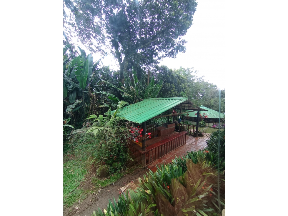 FINCA EN VENTA 10.000M2 KM 18 VEREDA LOS ROSALES LA ELVIRA CH-DT — foto 3