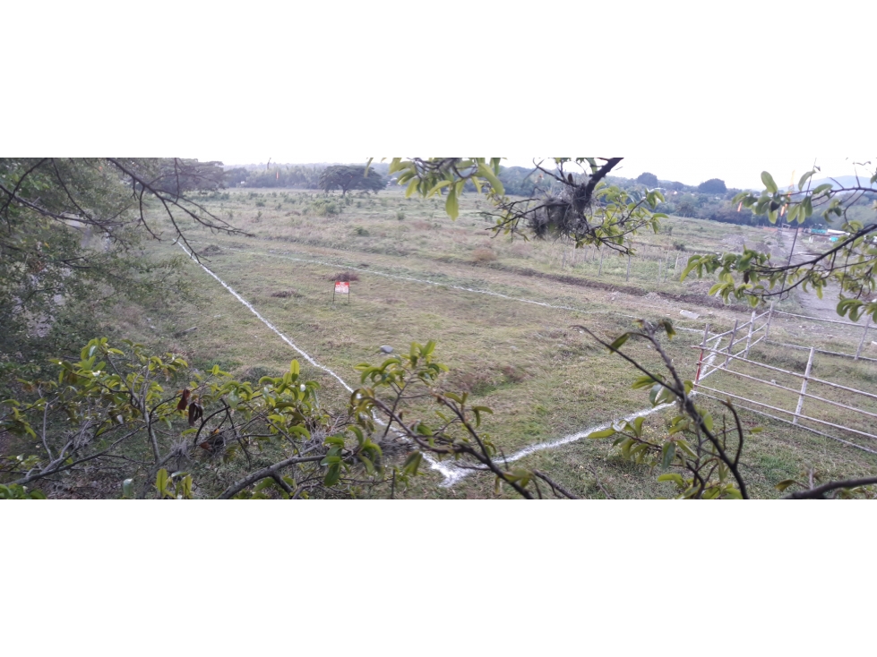 VENTA LOTE VEREDA LA FLORESTA GINEBRA VALLE DEL CAUCA CH - 2