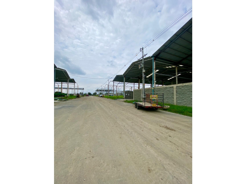 SE VENDE LOTE INDUSTRIAL DE 1.000MTS EN PALMASECA — foto 3