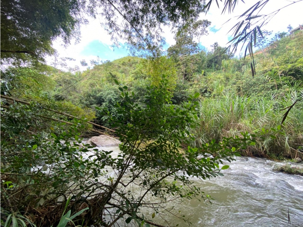 LOTE EXTERNO BUITRERA LEV