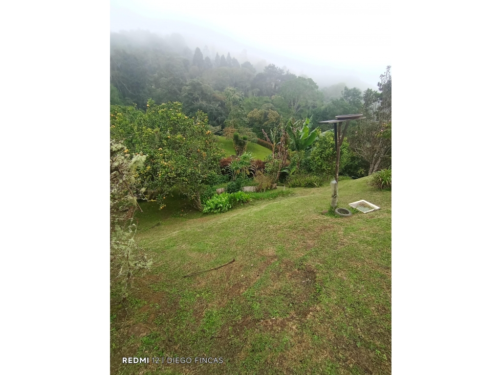 FINCA EN VENTA DE 3.745M2 CONDADO BEBERLY DAPA CH-DT — foto 3