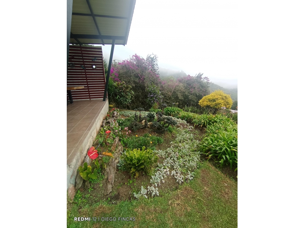 FINCA EN VENTA DE 3.745M2 CONDADO BEBERLY DAPA CH-DT — foto 5
