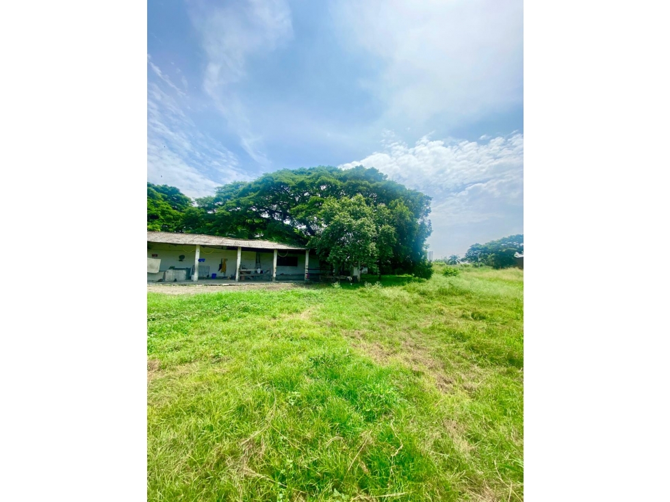 LOTE ESQUINERO DE 14.400MTS sobre vía principal Cali-Rozo — foto 2