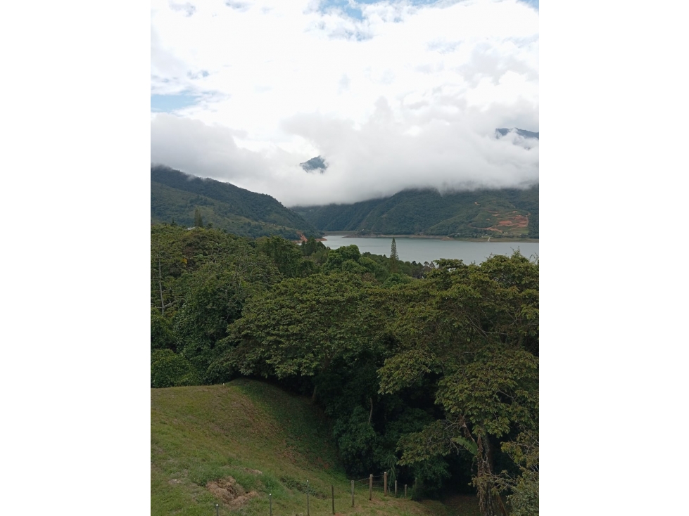 VENTA LOTE PARCELACION FRENTE AL LAGO CALIMA CH - 4